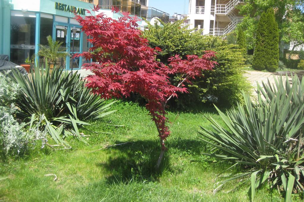 Arcadia Apartments Misivri Dış mekan fotoğraf
